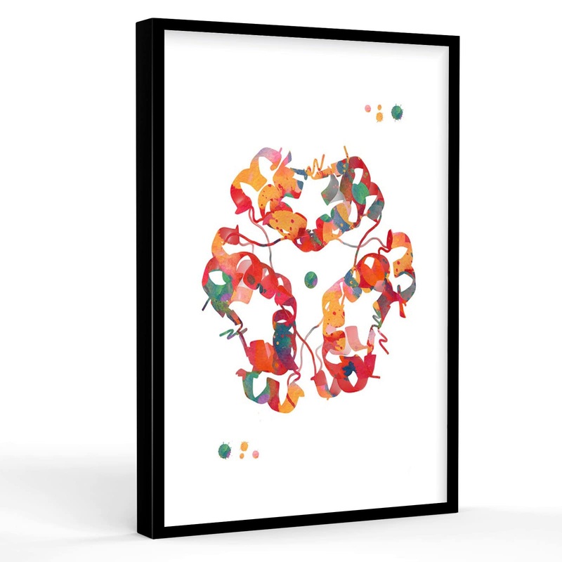Insulin watercolor print Insulin hormone structure poster art insulin peptide print medical art insulin molecule print 12 X 16 Inch Framed Modern Canvas Wall Art Black 2 12 X 16 Inch