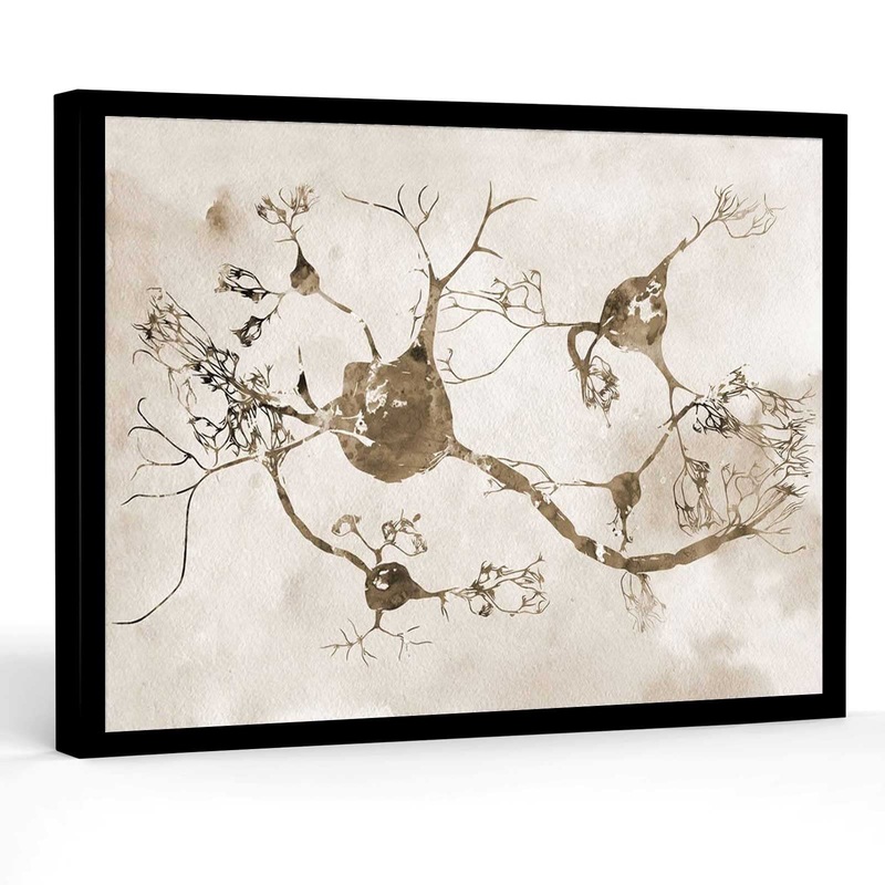 medical party decorations Neurons and nervous system organic nerve cells watercolor print medical science art decor gift beautiful wall art 8 X 12 Inch Framed Modern Canvas Wall Art Black 3 8 X 12 Inch