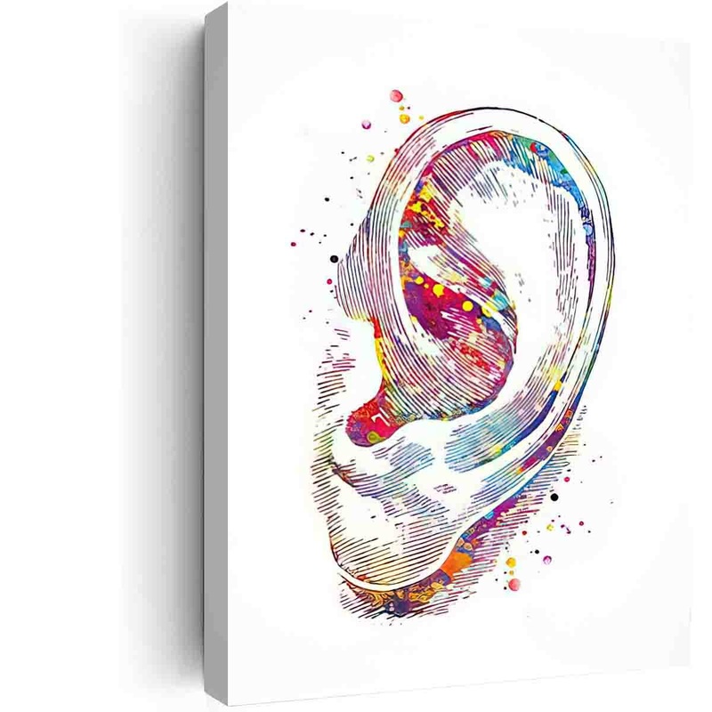 Wall Art For Living Room Decor Ear Watercolor Print Human Ear Audiologist Gift Audiology Poster Science Art Ear Diagram Ear Poster Office Decor Medical Art- 12 in x16 in-Ready to hang red-1 12 in x16 in-Ready to hang