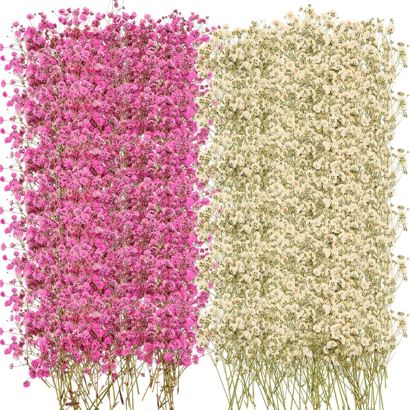 200 Pcs Baby’s Breath Dried Pressed Flowers Natural Gypsophila Branches Gypsophila Bouquet for Wedding DIY Crafts Home Decor Resin Art Card Making Vase  2 Colors