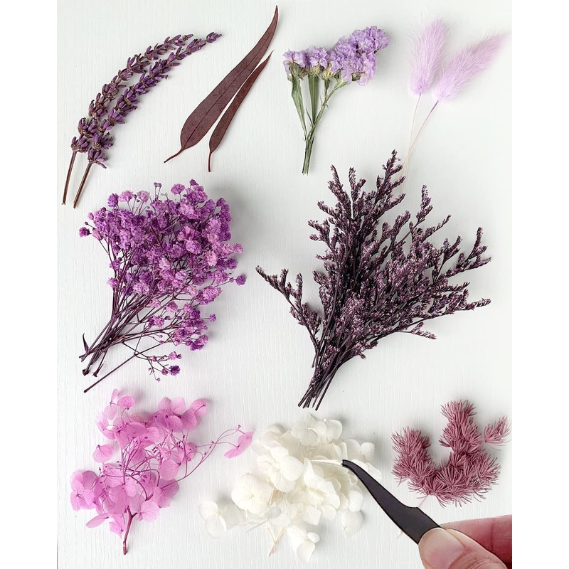 AHTONG Real Dried Leaf Flowers Plant Herbarium with Tweezers for Resin Molds Craft Jewelry Making (Purple)