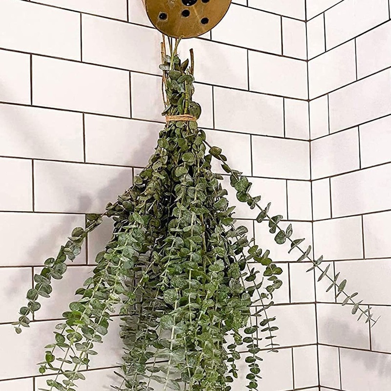 Dried Eucalyptus Branches Real Hanging Eucalyptus Stems Eucalyptus Plant Indoor for Shower Home DIY Hotel Office Shower Hanging Eucalyptus