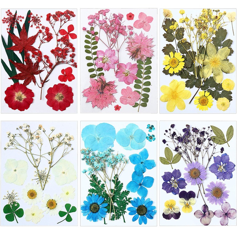 EBOOT 72 Pieces Real Dried Pressed Flowers Dried Flowers Leaves Set Mixed Multiple Dry Flower for DIY Candle Resin Jewelry Nail Pendant Crafts Art Floral Decoration