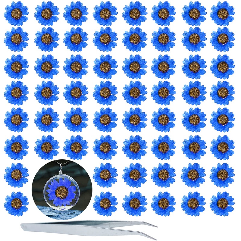 HEISENLIN Dried Pressed Flower  60PCS Blue Natural Real Pressed Dried Daisy Flowers  Dry Flowers with Forceps for Resin Jewelry Soap Scrapbooking DIY Candle Decoration Nail Pendant Crafts Making Daisy-blue