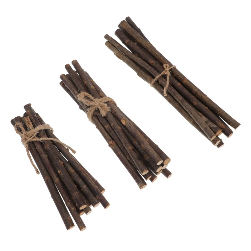 Lurrose 30pcs Stick Decor Diy Branch Accessory Natural Birch Twigs Wood Craft Diy Twig Earth Tones Lip Gloss
