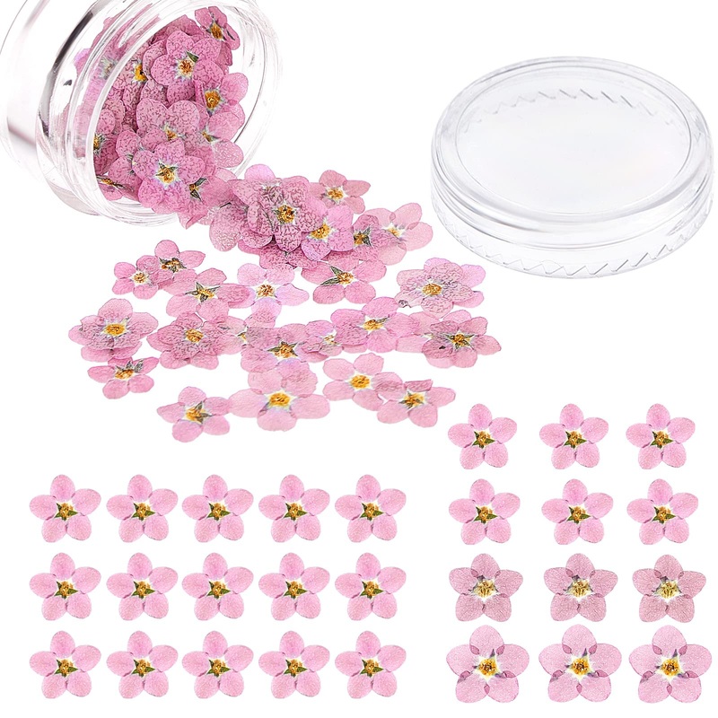 Timtin 100 Pcs Natural Forget Me Dried Flowers Don’t Forget Me Dried Flower Real Dried Pressed Flowers for Jewelry Candle Card Making DIY Resin Ornaments Nail Art Flowers Decorations () Pink