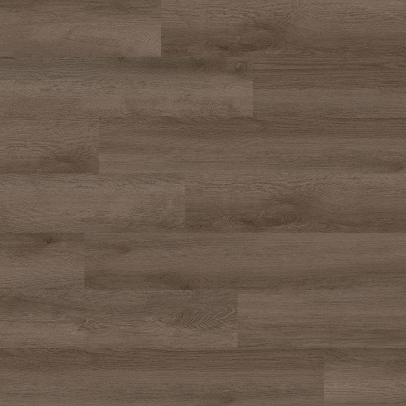 Lifeproof Foggy Hollow Oak 22 MIL x 8.7 in. W x 59 in. L Click Lock Waterproof Luxury vinyl Plank Flooring (25 sq. ft./Case) I231106LX
