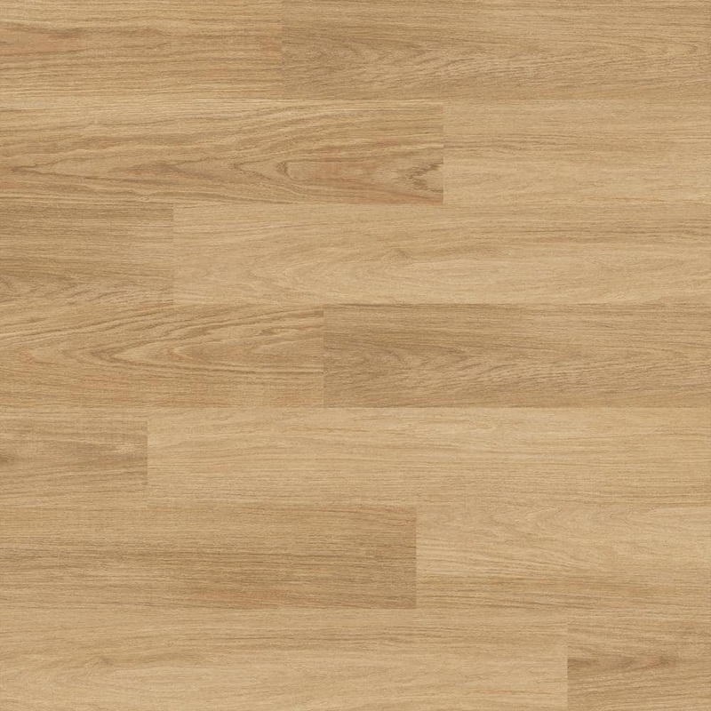 Lifeproof Moose River Oak 22 MIL x 8.7 in. W x 59 in. L Click Lock Waterproof Luxury Vinyl Plank Flooring (25 sq. ft./case) I102107LX