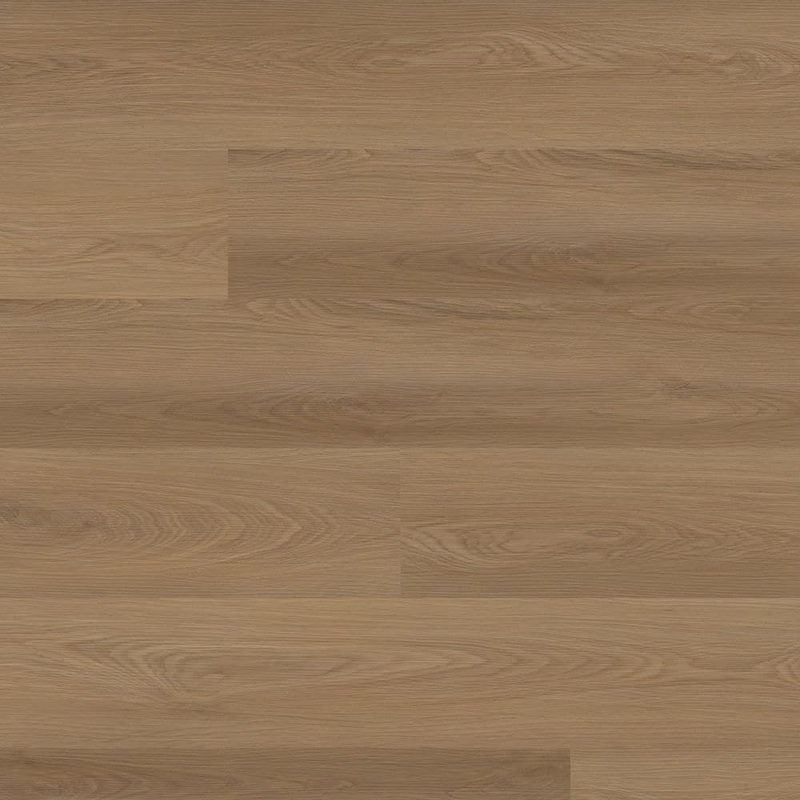 Lifeproof San Dimas 22 MIL x 9 in. W x 60 in. L Click Lock Waterproof Luxury Vinyl Plank Flooring (26.18 Sq. ft. /Case) VTRHDSANDIM9X60