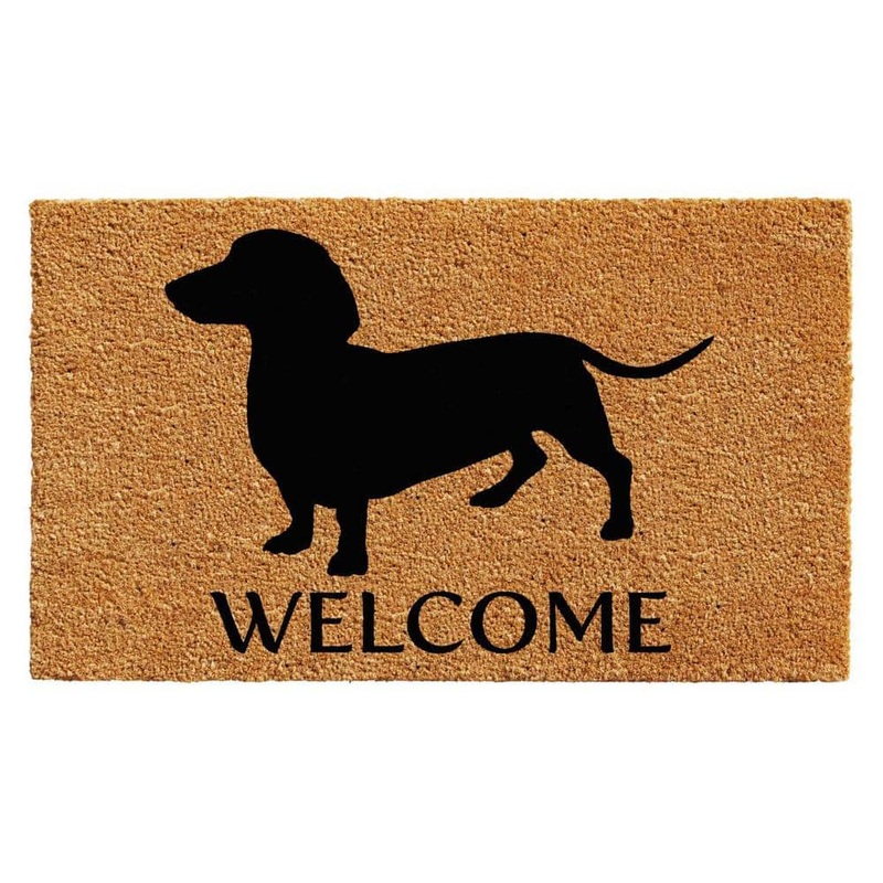 HomeRoots Multi-Colored 36 in. x 24 in. Coir Non-Slip Indoor/Outdoor Door Mat 2000555237