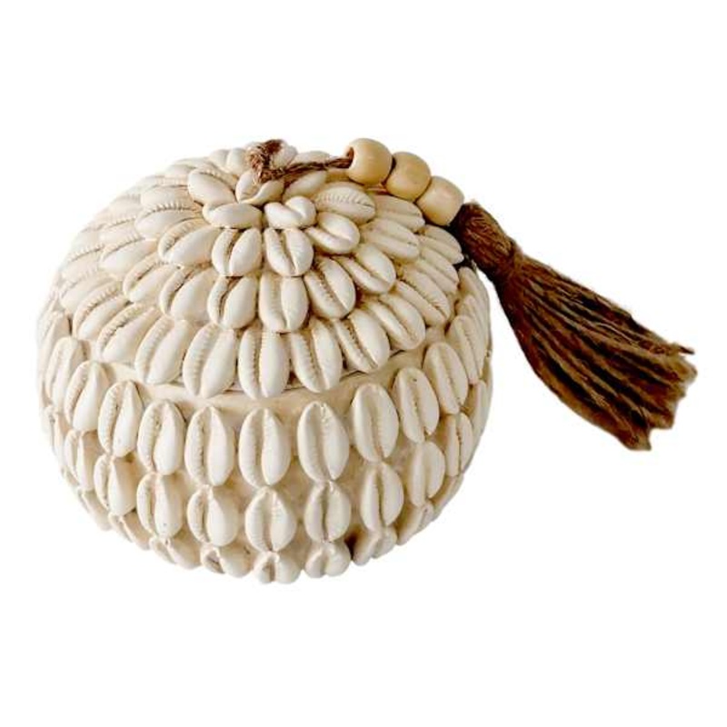 Tracey Boyd Cowrie Shell Placeholder Box, 3.5″
