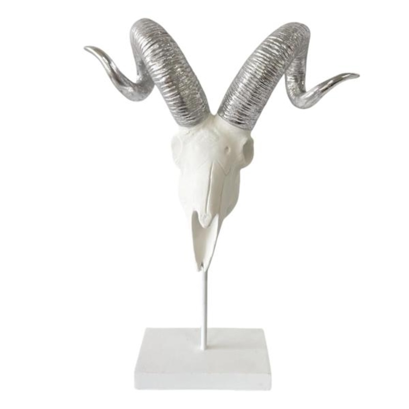Found & Fable White Antelope Skull Head Decor, 14″