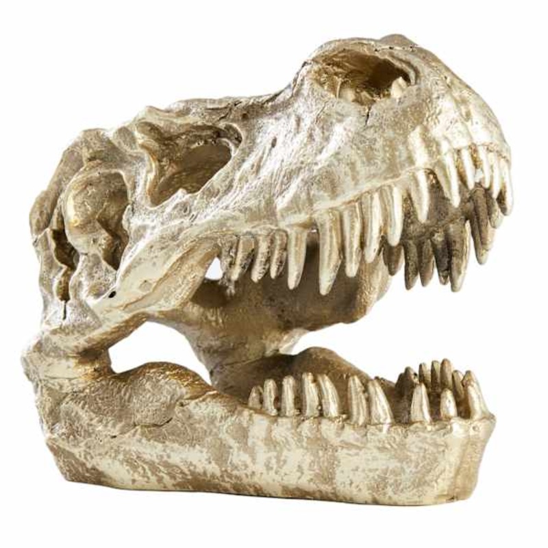 Gold T-Rex Fossil Head, 6″