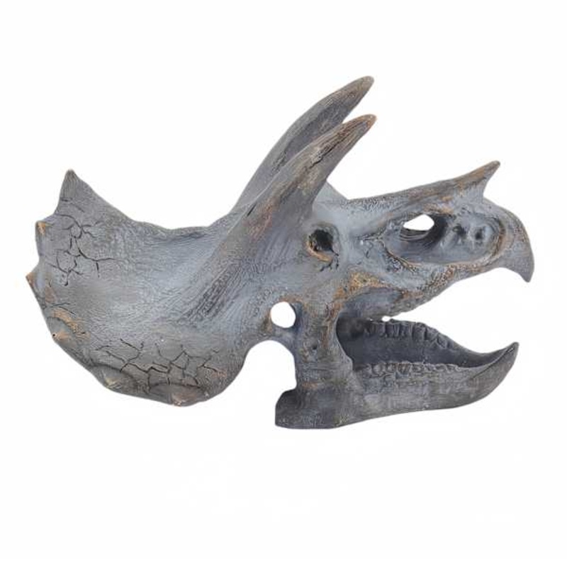 Triceratops Resin Skull Dcor, 9×6