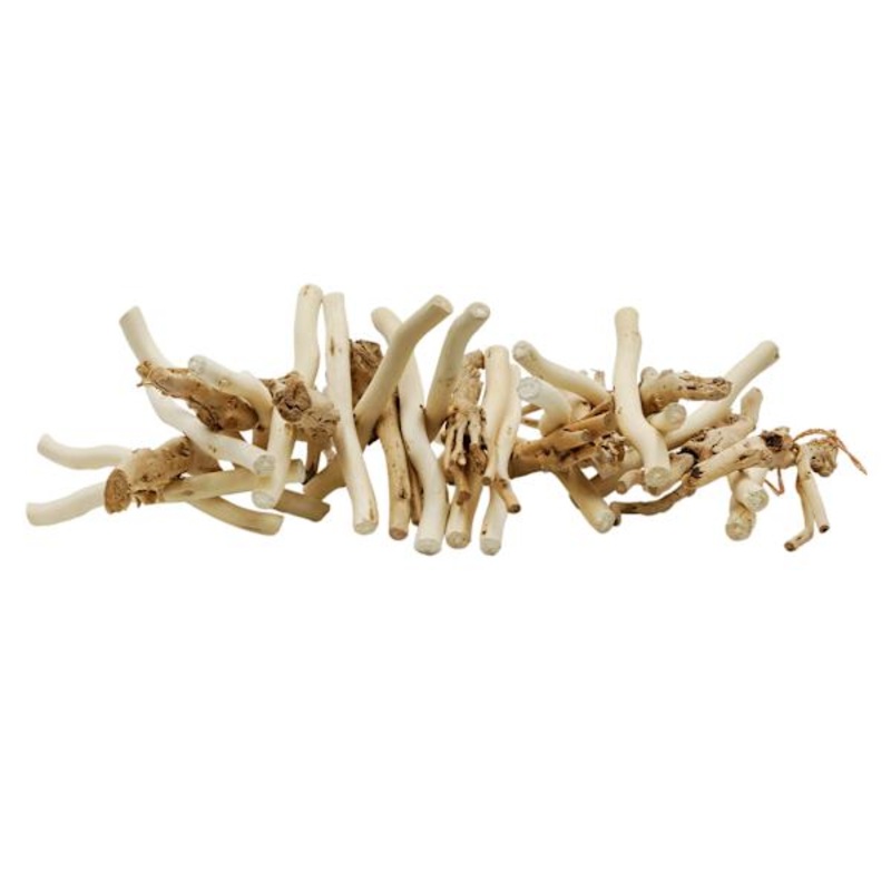 Ty Pennington Wooden Coral Decor, 24×7