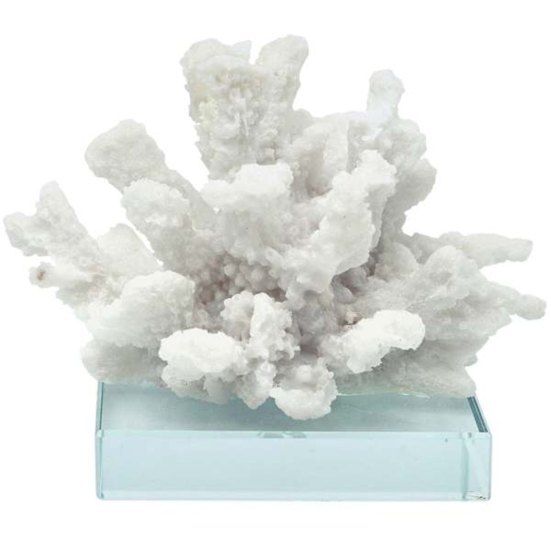White Coral Figurine on Glass Base, 5″