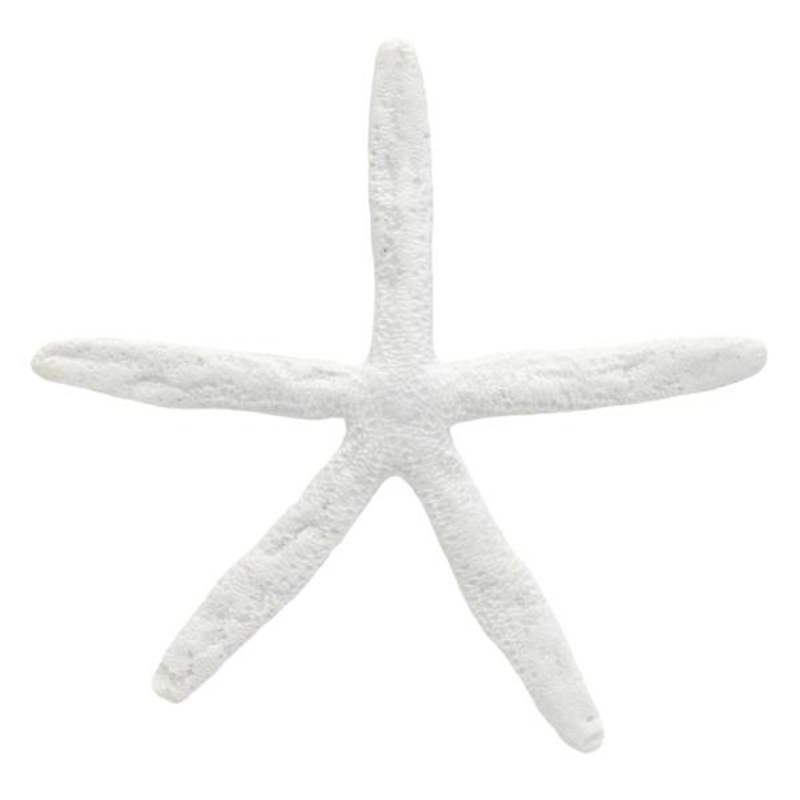 White Star Fish, 8″