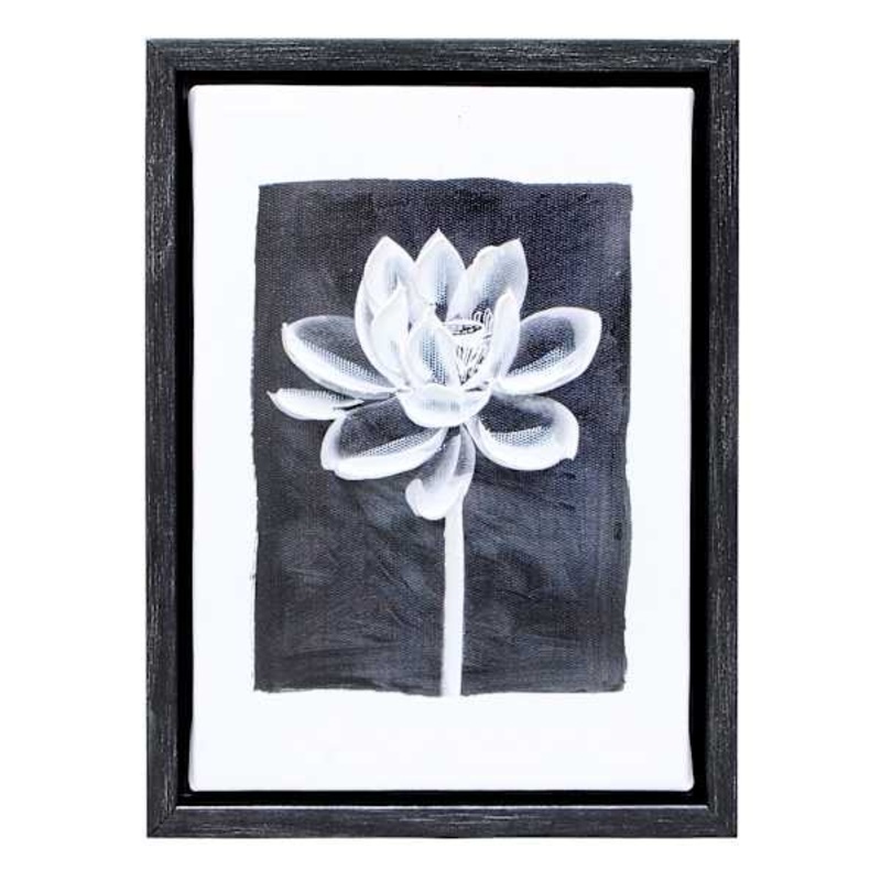 Flower Framed Canvas Wall Art, 5×7