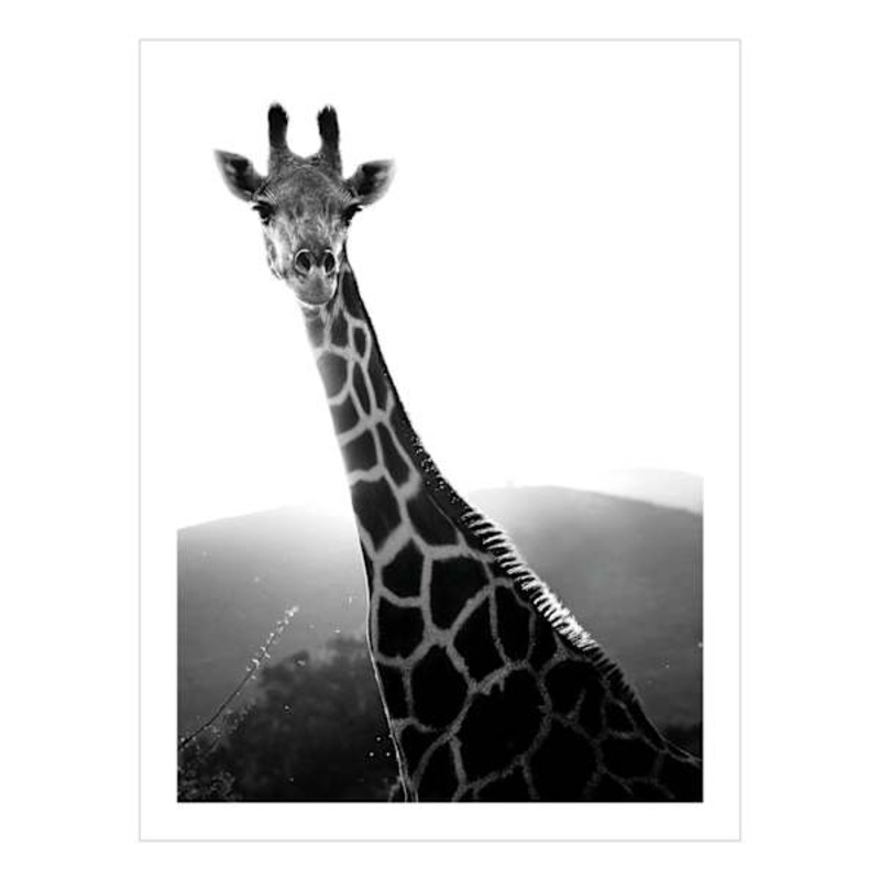 Giraffe Block, 6×8