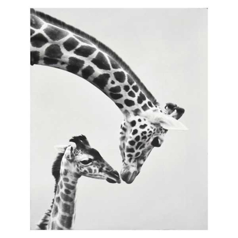 Giraffes Block, 8×10