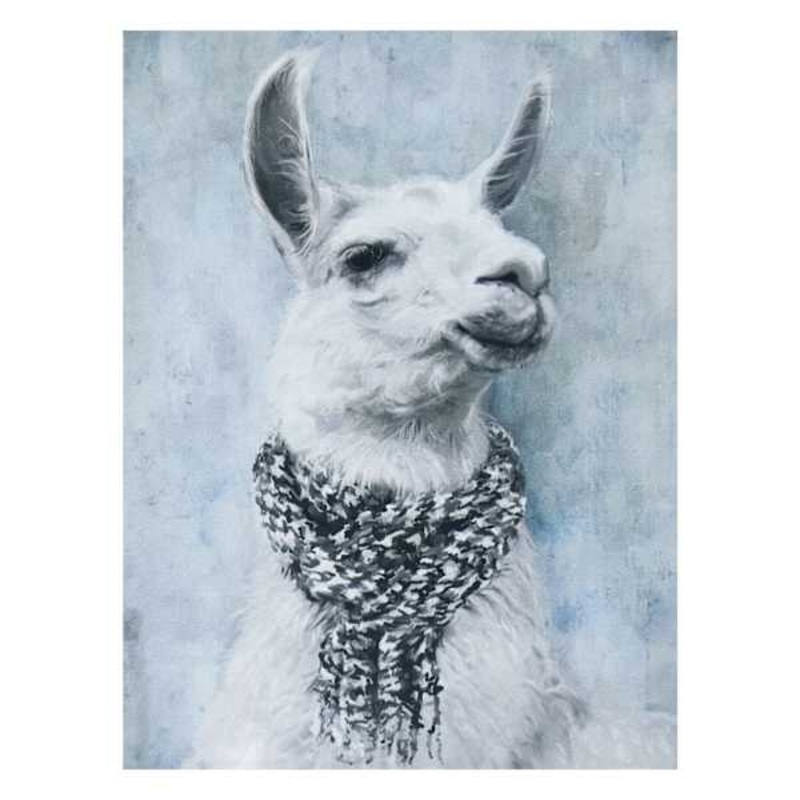 Hipster Llama Art, 6×8