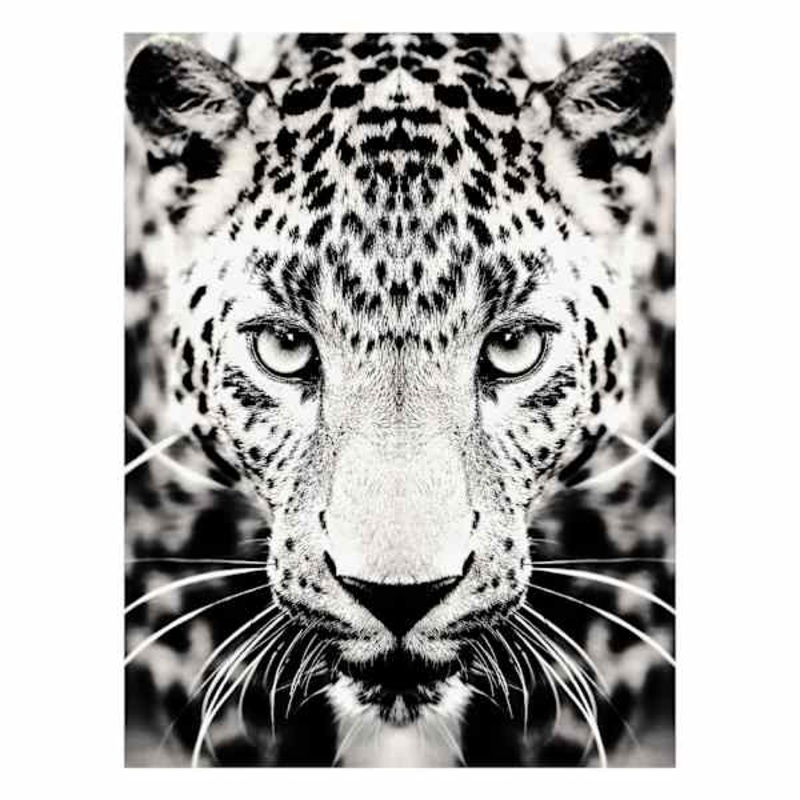 Leopard Block, 6×8