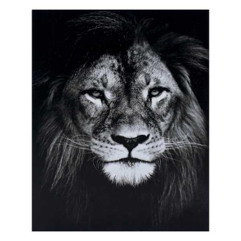 Lion Block, 8×10