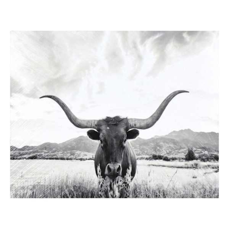 Longhorn Block, 8×10