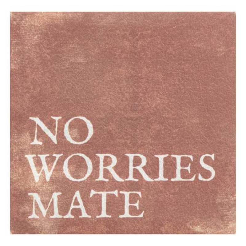 No Worries Mate Canvas Wall Art, 6″