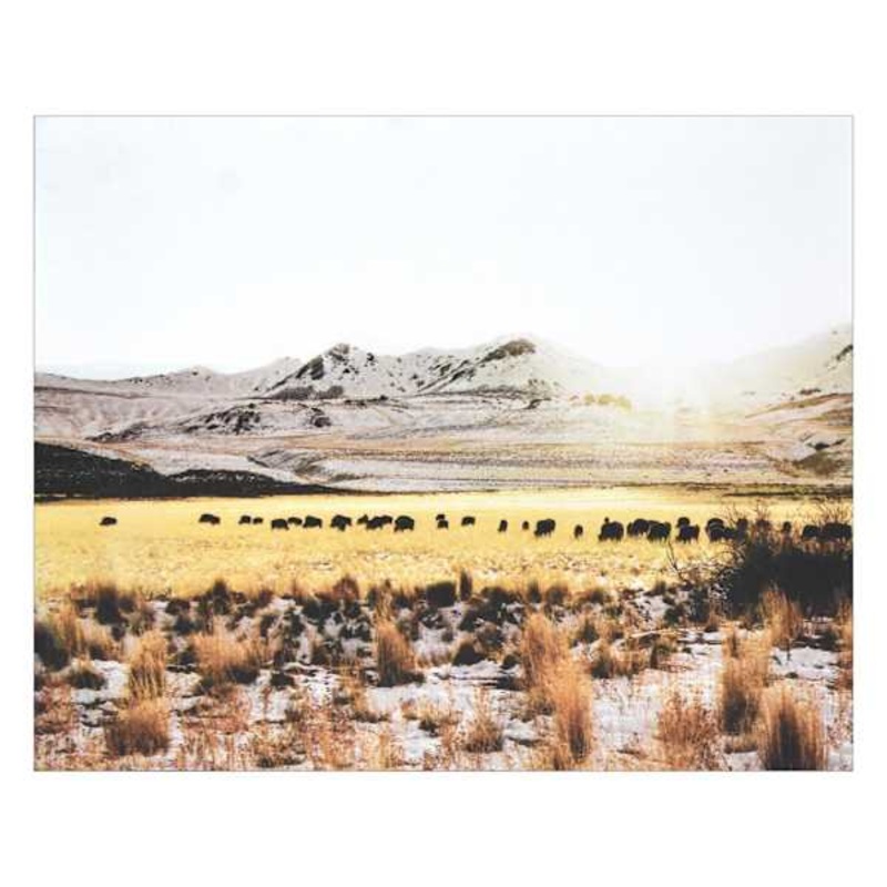 Pasture Block, 8×10