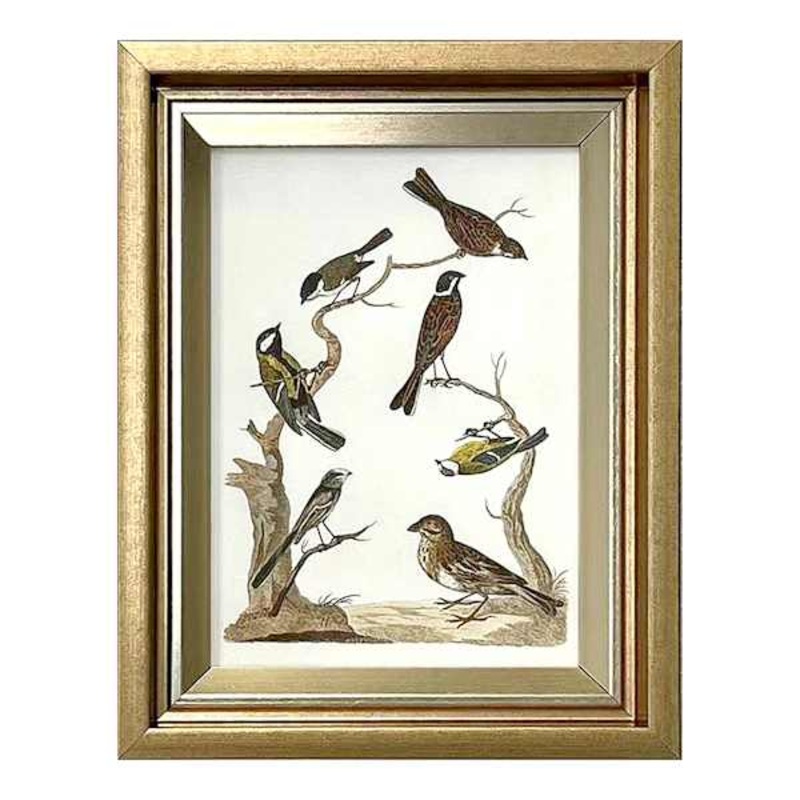 Providence Birds in Nature Table Sign, 7×9
