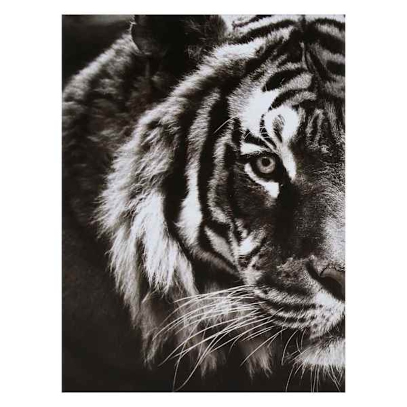 Tiger Block, 6×8
