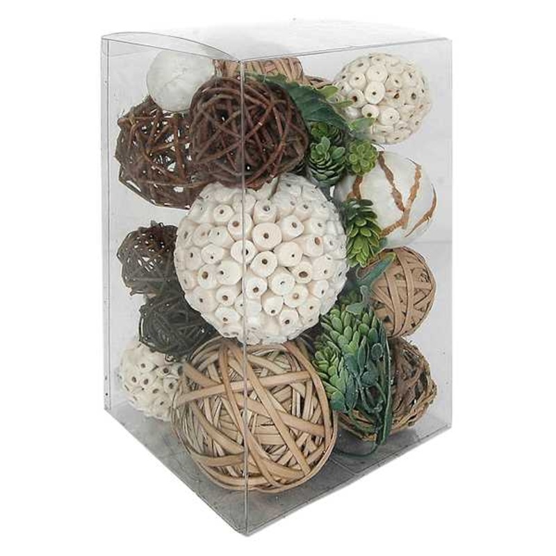 Brown Dried Orbs & Succulent Mix