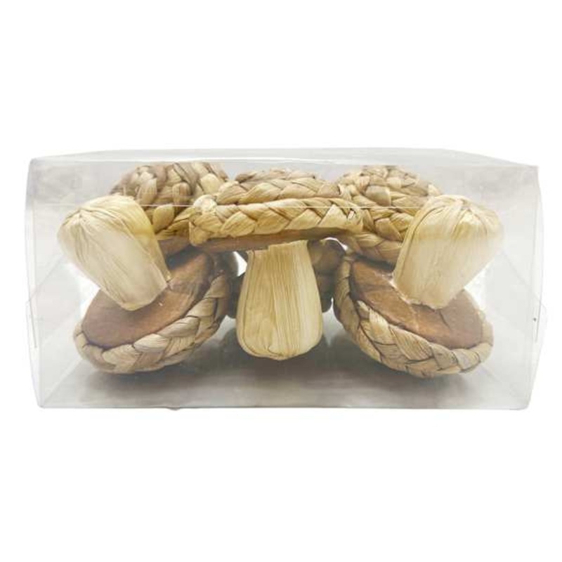 Honeybloom 6-Piece Woven Mushrooms in Box