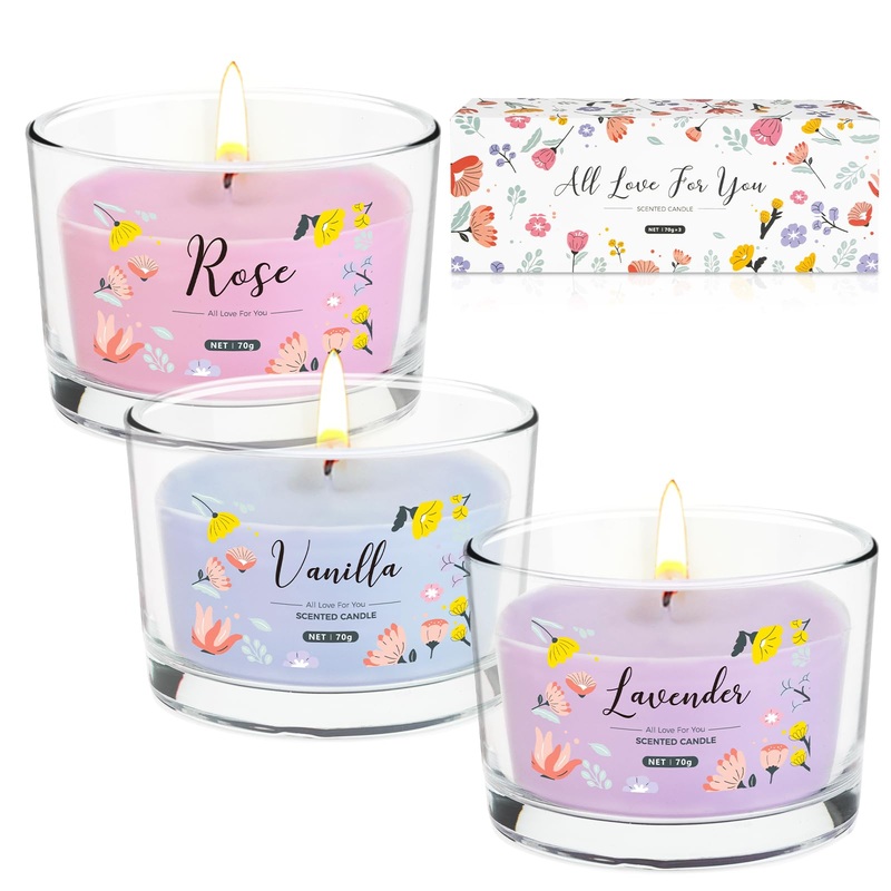 Fragrance candles set gift for women fragrance candle in a glass gift 3 pieces of fragrant candles gift set with lid 100 hours 100% soy wax portable travel cans for stress relief birthday poison for family