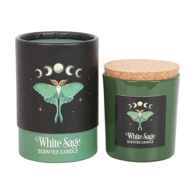 Luna moth white sage candle – sacred creatures in dark walks |vegan paraffin wax |25 hours of burning time |Soothing aromatherapy for home