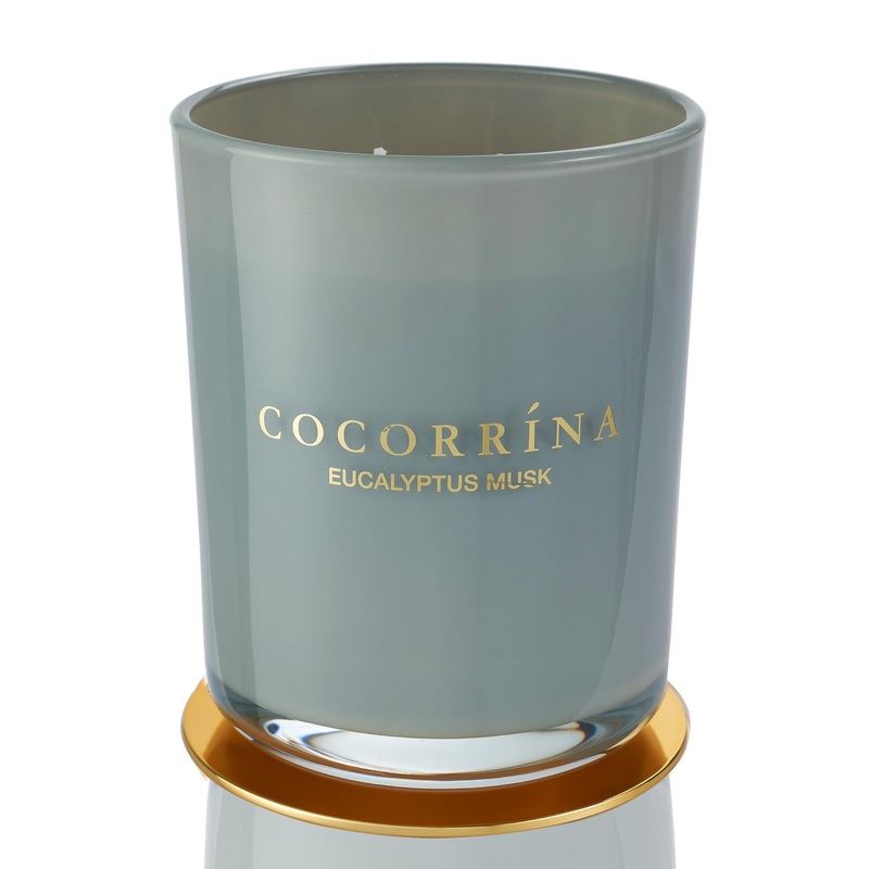 Cocorr na Candle fragrance candle in glass – eucalyptus musk burning time up to 46 hours with 2 wicks natural soy candle Christmas gift candle 420g eucalyptus musk 420g