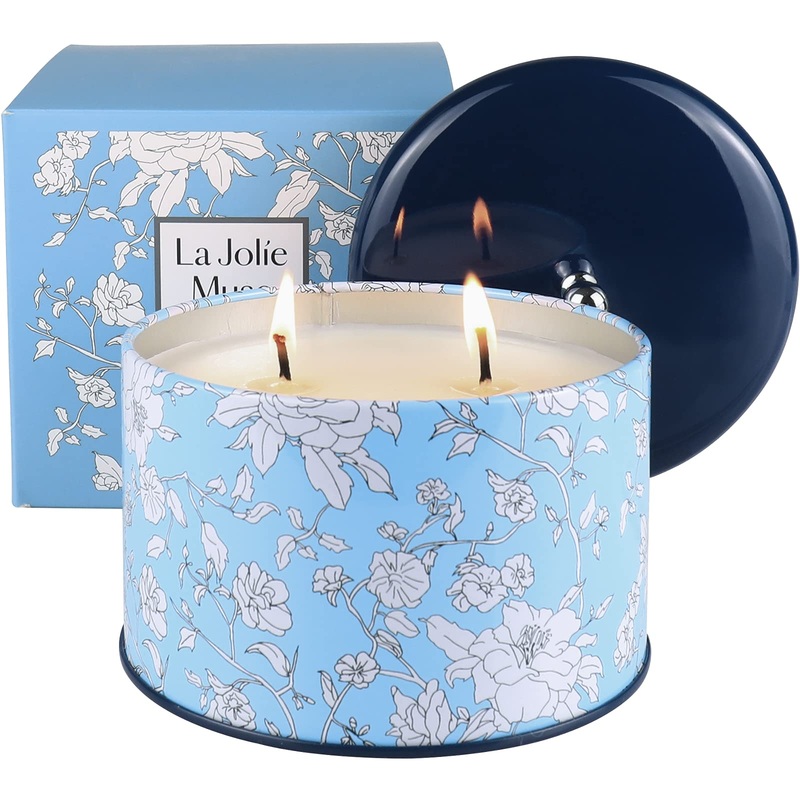La Jol e Muse Citronella fragrance candle 400g (14.1oz) 2 wicks natural wax candle in can 40-50 hours of burning time for inside and outside candle gift garden camping