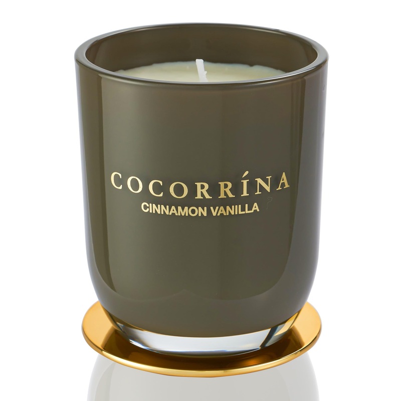 Cocorr na Candle fragrance candle in a glass cinnamon burning time up to 46 hours with 2 wicks natural soy candle Christmas gift candle 420g cinnamon vanilla 420g
