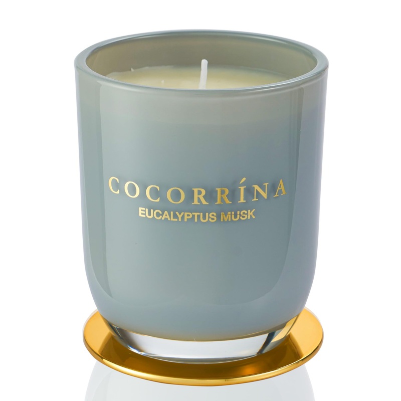 Cocorr na Candle fragrance candle in a glass – eucalyptus musk burning time up to 22 hours natural soy candle Christmas gift candle 180g eucalyptus musk 180g