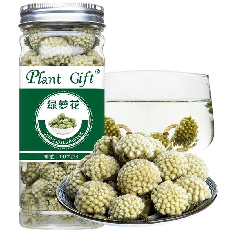 Plant poison organic dried scindapsus aureus flower 50g/1.76oz green Roman flower non-gentor dried flower herbs for bathroom bomb soap resin candle production