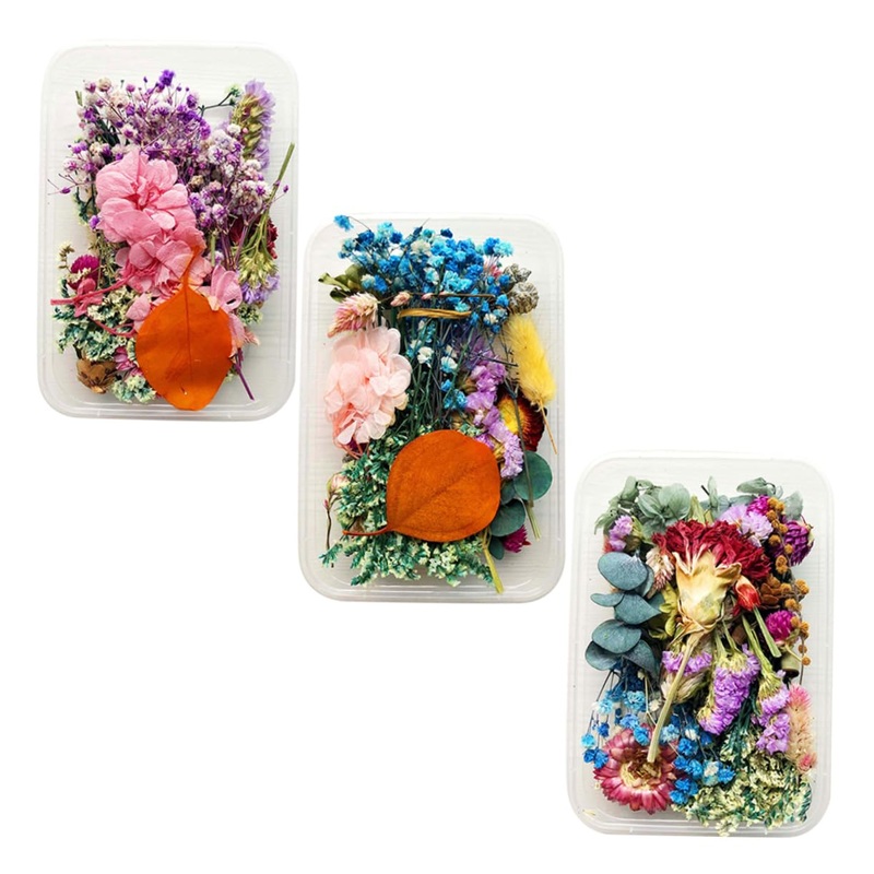 Zerodeko 9 Boxes Handmade Diy Dried Flowers Real Daisy Dried Flower Leaves Dried Flowers Nail Art Dried Flower Decor Maternity Clothes Dried Flowers for Soap Making Bjd Doll Manual Bouquet