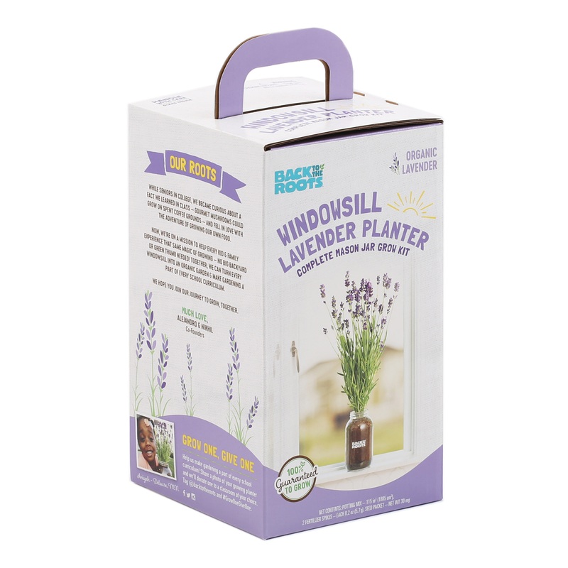 Back to the Roots Organic Lavender Windowsill Grow Kit