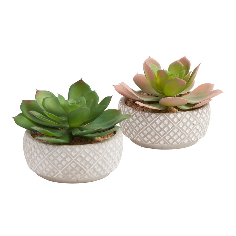 Faux Echeverias in Geo Cement Pots Set of 2