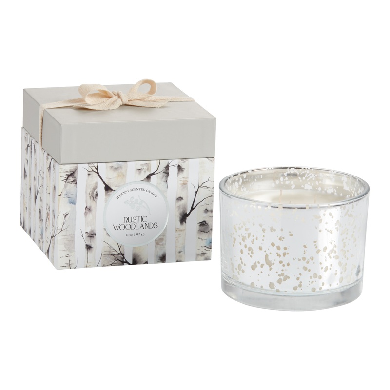 Pier Place Rustic Woods Mercury Glass Boxed Scented Candle