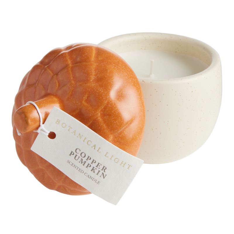 Small Copper Pumpkin Ceramic Acorn Scented Candle