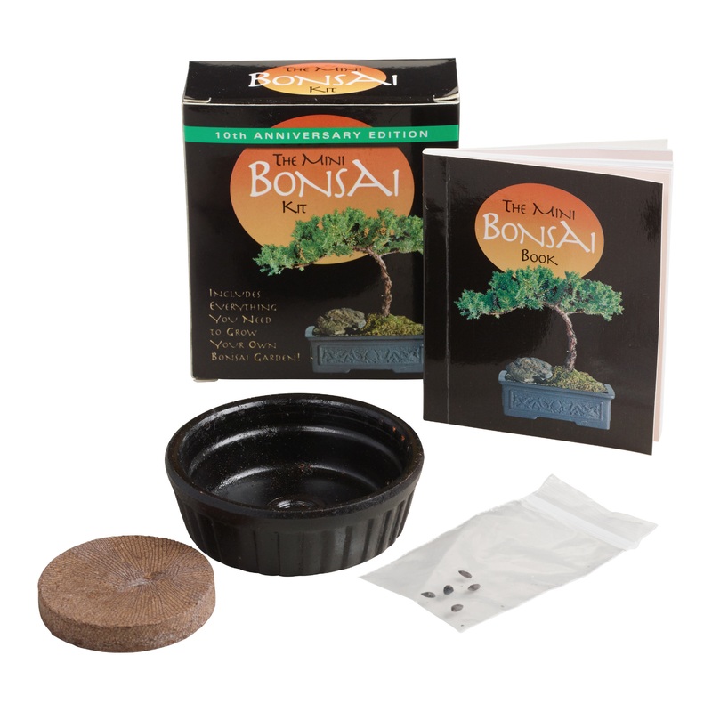 Mini Bonsai Kit