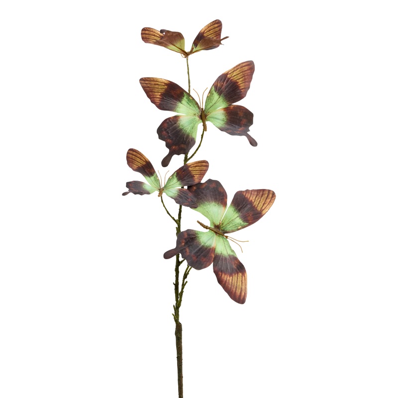 Brown and Green Butterfly Spray