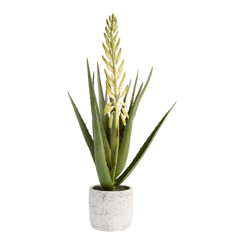 Faux Blooming Agave Plant in Rustic White Pot