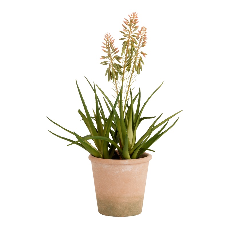 Faux Blooming Agave Plant in Terracotta Pot